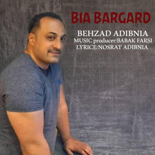 دانلود آهنگ بیا برگرد